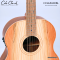 Cole Clark | LL2E-RDBL (SN:26061259)