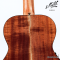 Maton - EMBW6