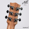 Maton - EMBW6