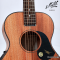 Maton - EMBW6