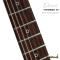 Dhatarattha - Performance DTL | White Over Sunburst