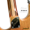 Dhatarattha - Custom DST Swamp Ash | Brown-Black