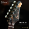 Dhatarattha - Custom DST Swamp Ash | Black - Dark Blue