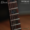 Dhatarattha - Custom DST Swamp Ash | Black - Dark Blue