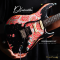 Dhatarattha - Performance DST | Black Over Pink Paisley