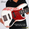 Dhatarattha - Performance DEB 5 Strings | White over Pink Paisley