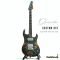 Dhatarattha - Custom DST Swamp Ash | Black