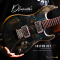 Dhatarattha - Custom DST Swamp Ash | Black - Dark Blue
