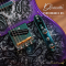 Dhatarattha - Performance DTL | Violet Paisley
