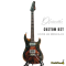 Dhatarattha - Custom DST Swamp Ash | Brown-Black