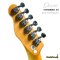 Dhatarattha - Performance DTL | White Over Sunburst