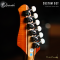 Dhatarattha - Custom DST Swamp Ash | Red