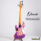 Dhatarattha - Performance DEB 5 Strings | Purple Over Pink Paisley