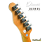 Dhatarattha - Custom DTL Mahogany | Green-Pink