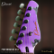 Dhatarattha - Performance DST | Violet Over Black Paisley