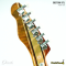 Dhatarattha - Custom DTL Swamp Ash NA