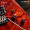 Dhatarattha - Custom DST Swamp Ash | Red