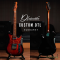 Dhatarattha - Custom DTL | Sunburst (Rosewood Neck)