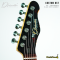 Dhatarattha - Performance DTL Black Over Sunburst