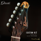 Dhatarattha - Custom DST Swamp Ash | Black - Brown