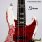 Dhatarattha - Performance DEB 5 Strings | White over Pink Paisley