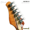 Dhatarattha - Custom DST Swamp Ash | Brown-Black