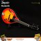 Tayste Electric Mandolin แมนโดลินไฟฟ้า รุ่น T-MA5