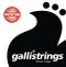 GalliStrings สายเบสไฟฟ้า 4 สาย รุ่น RSB45105 (Nickel)