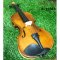 Golden Leaf Violin ไวโอลิน รุ่น R-35MA มีหลายขนาด เลือกไซส์ได้ พร้อม กระเป๋า ที่รองบ่า คันชักไวโอลิน ยางสน สายไวโอลิน