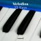 Golden Leaf: Melodion 32 Keys + Hard Case (Blue)