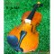 Golden Leaf Violin ไวโอลิน รุ่น R-30MA มีหลายขนาด เลือกไซส์ได้ พร้อม กระเป๋า ที่รองบ่า คันชักไวโอลิน ยางสน สายไวโอลิน