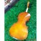Golden Leaf Violin ไวโอลิน รุ่น R-20MA มีหลายขนาด เลือกไซส์ได้ พร้อม กระเป๋า ที่รองบ่า คันชักไวโอลิน ยางสน สายไวโอลิน