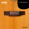 Headway - HD-V115ASE/AGED NA