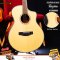 Kaysen: K-X810SS, Acoustic Guitar, All Solid