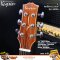 Kaysen: K-X812SS, Acoustic Guitar, All Solid