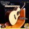 Matrixss: MESS-5G, Acoustic Electric Guitar, Top Solid, GA