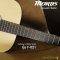 Morris: F-021, Acoustic Guitar