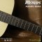 Morris: M-021, Acoustic Guitar