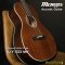 Morris: Y-023MH, Acoustic Guitar