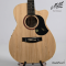 Maton - The Performer