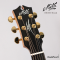 Maton - EM100C