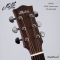 Maton - CW80 80th Anniversary Dreadnought