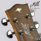 Maton - MB-TE-Personal (SN: 0212 2FC)