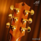 Maton - EM100C