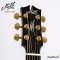 Maton - EM100 808