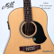 Maton - CW80 80th Anniversary Dreadnought