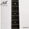 Maton - EM100 808