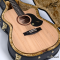 Maton - The Performer