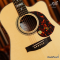 Maton - EM100C