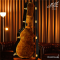Maton - SRS808
